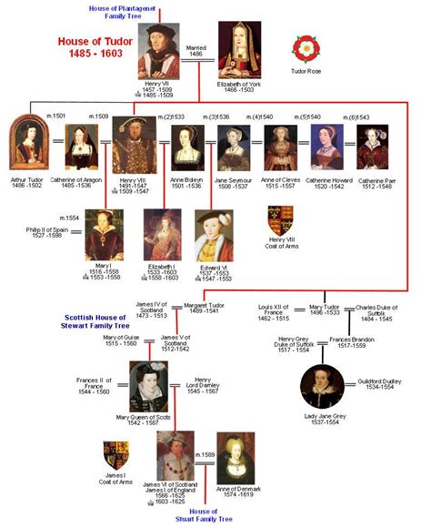 albero genealogico tudor|house of tudor family tree.